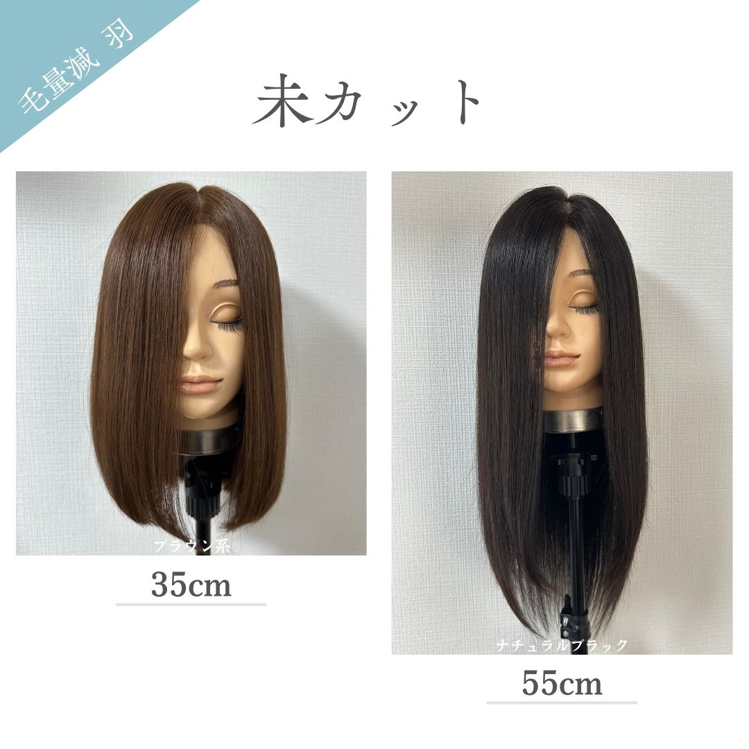 毛量減 羽ウィッグ 未カット 医療用全頭用ウィッグ