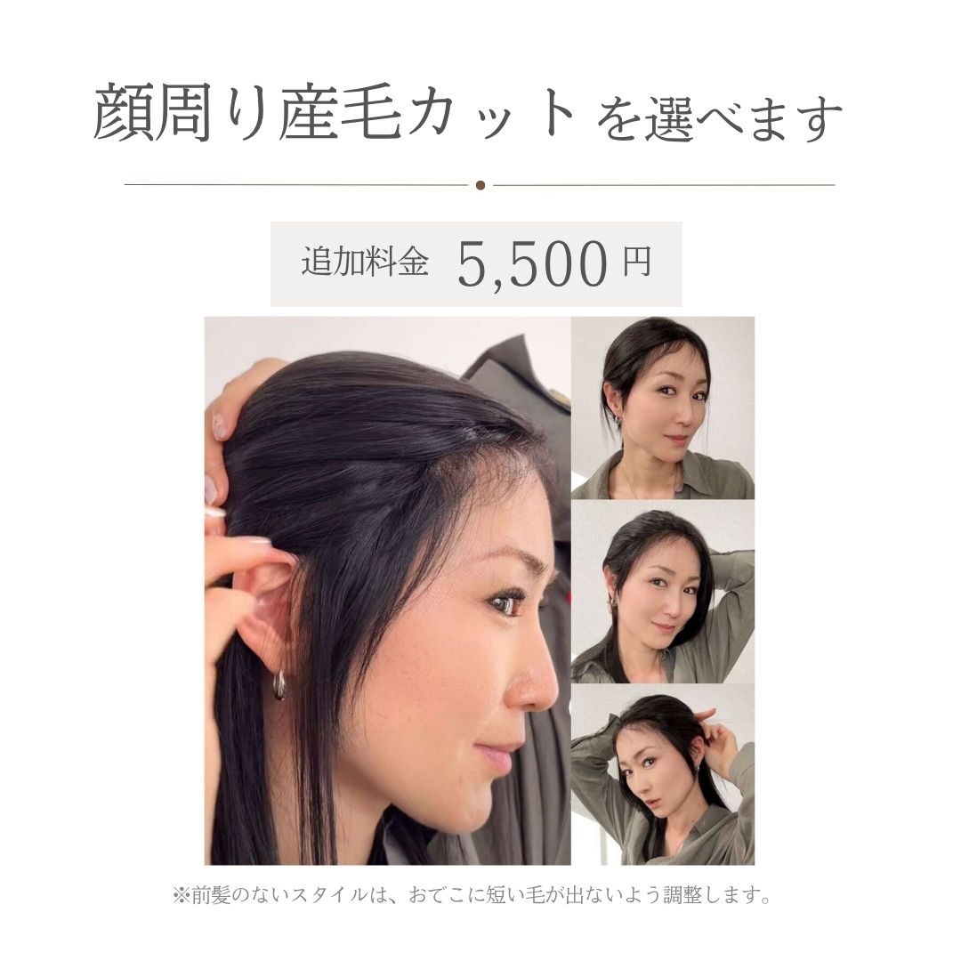 3Dウィッグ 未カット 医療用全頭用ウィッグ